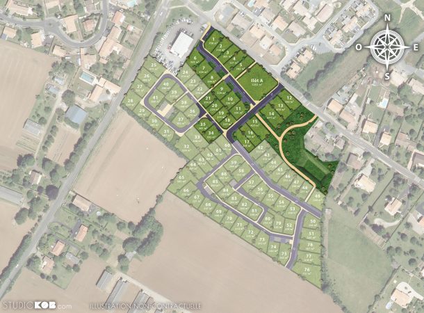 Plan de composition du lotissement Les Vergers du Patrouillet à Échiré à