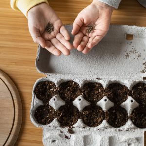 Mains d'enfants tenant des graines pour les planter dans la terre